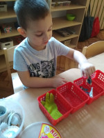 plany7