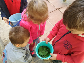 Edukacja przyrodnicza przedszkole