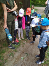 Edukacja przyrodnicza przedszkole
