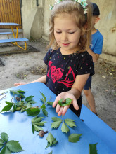 Edukacja przyrodnicza przedszkole