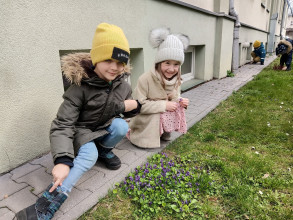 W poszukiwaniu wiosny…