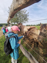 Wycieczka klas drugich