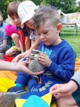 Przedszkolaki w Pasiece edukacyjnej „Pszczółka”