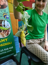 Dzień Dziecka w naszej szkole!